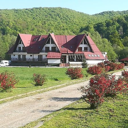 Pensiunea Rasnov Exteriör bild