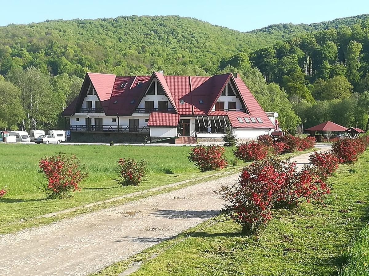 Pensiunea Rasnov Exteriör bild