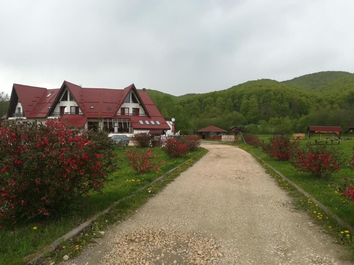 Pensiunea Rasnov Exteriör bild