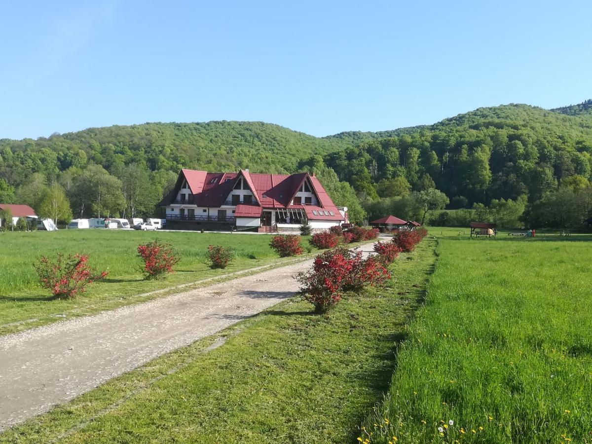 Pensiunea Rasnov Exteriör bild