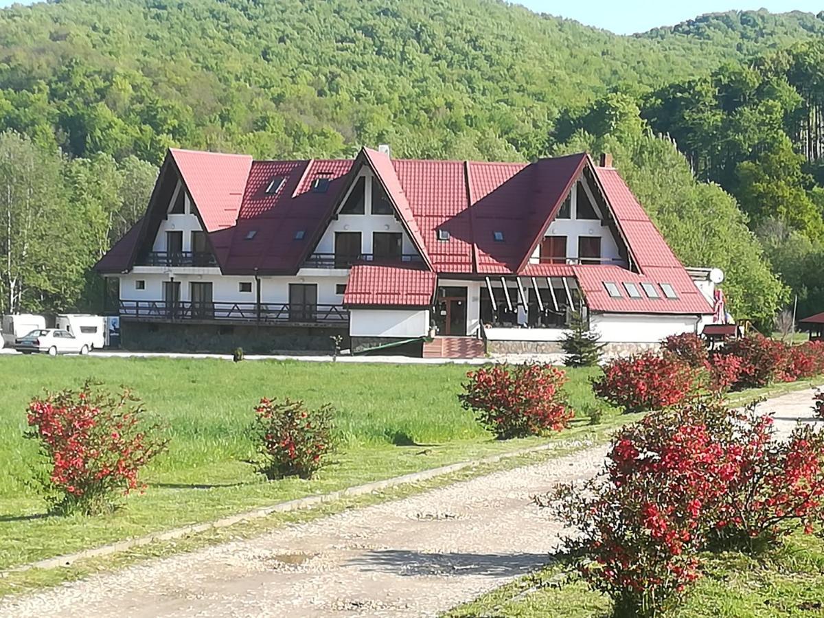 Pensiunea Rasnov Exteriör bild