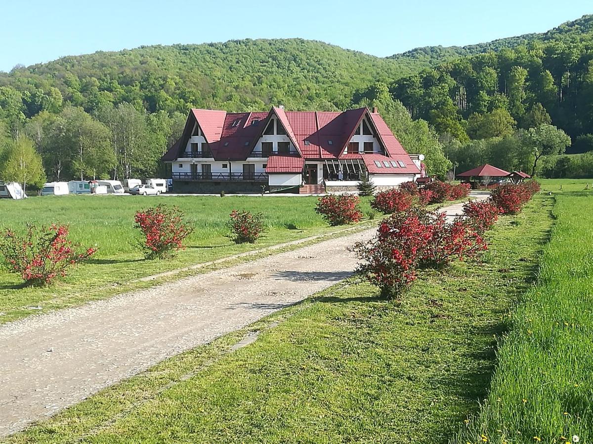 Pensiunea Rasnov Exteriör bild
