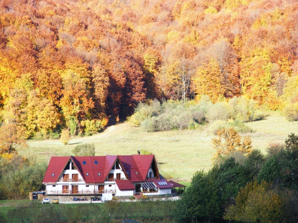 Pensiunea Rasnov Exteriör bild